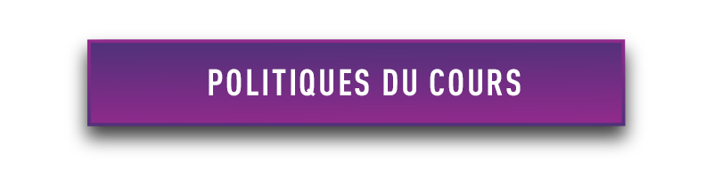 Bouton Politiques du cours